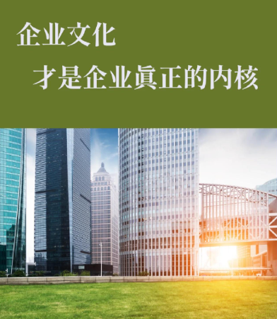 多场景网络安全软件开发定制化服务全流程指南